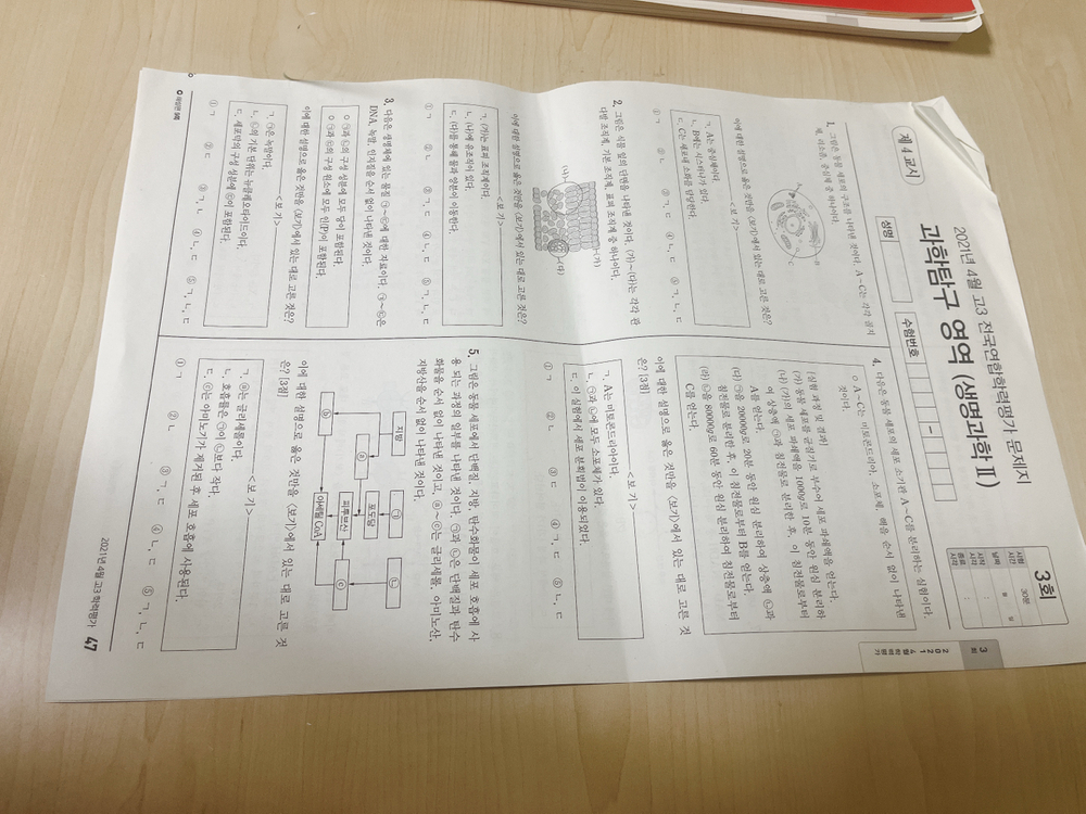 마더텅 생명과학 2 기출문제집--2