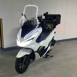 pcx 19년식