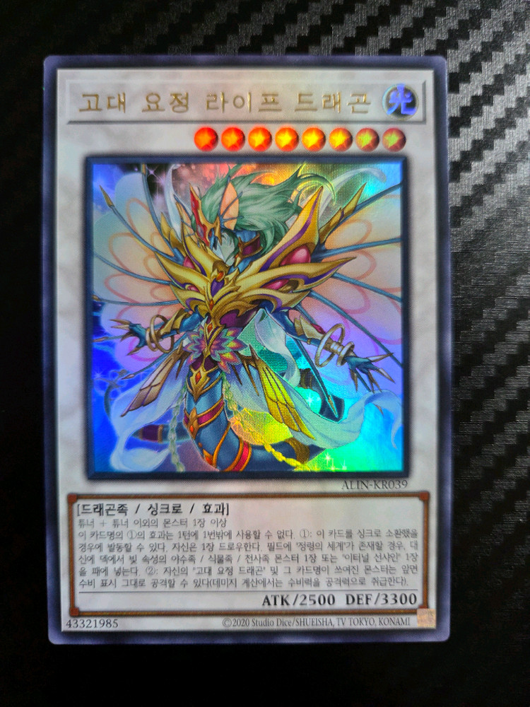 유희왕 카드 - 툰 블랙매지션걸(퍼에/울레) 외 다수--1