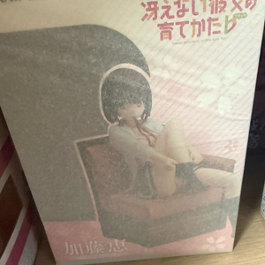 애니플렉스 카토메구미.소파 버전 미개봉 이미지