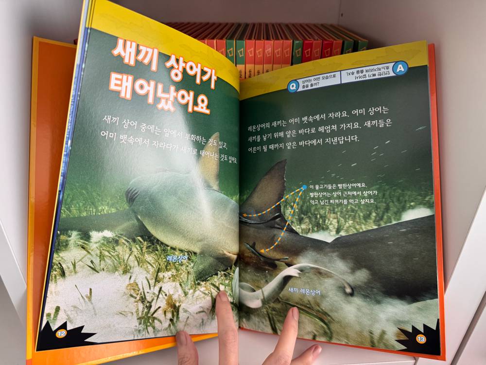 내셔널지오그래픽 키즈 30권 이미지