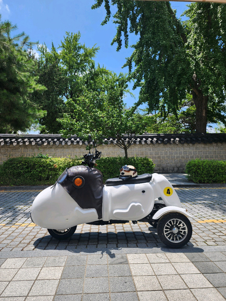 초귀여운 강아지모양 3륜 전동바이크 판매--2