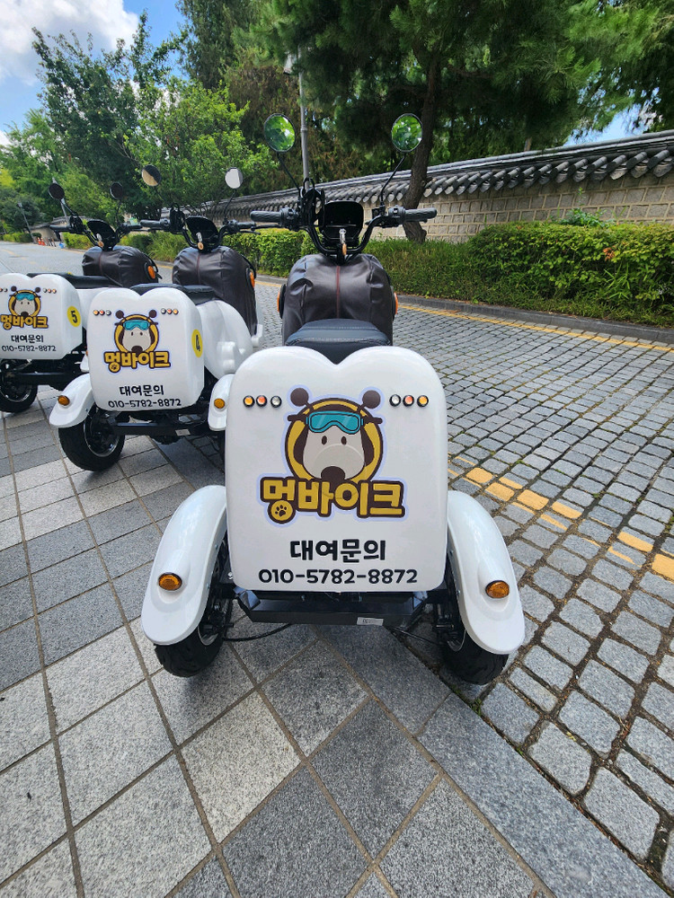 초귀여운 강아지모양 3륜 전동바이크 판매--3