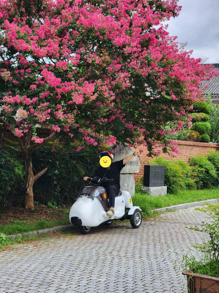 초귀여운 강아지모양 3륜 전동바이크 판매--4