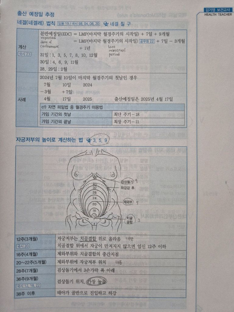 보건교사 임용수험서(2025임수진, 2026김기영) 이미지