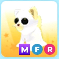 입양하세요 메가 유령고양이 판매합니다~ 이미지