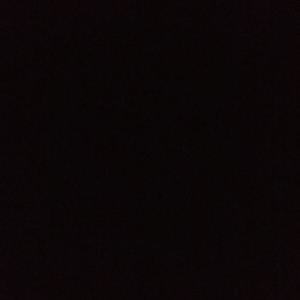 입양하세요 랜덤잡펫800마리 제시 ㅍㅍ 문의주시면 내고 ㄱㄴ 이미지