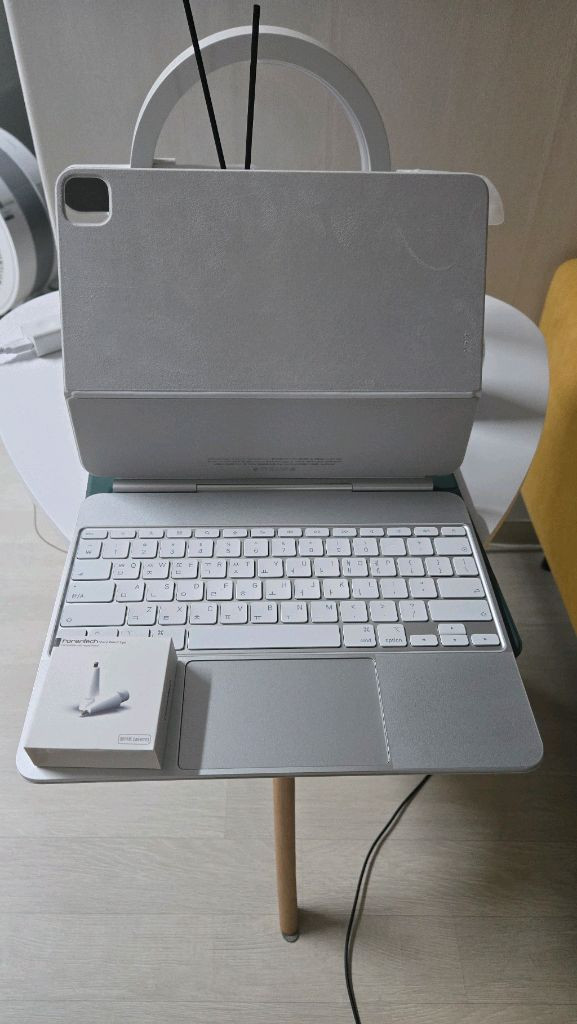 아이패드 프로13 m5/1tb 셀룰러 팔아요 이미지