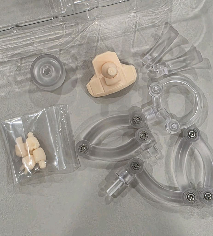 개봉) 앨리스 어나더 컬러 넨도로이드 돌 넨도돌 이미지