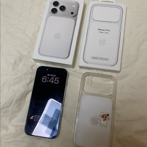 애플 아이폰 17 Pro 실버 256GB + 정품케이스