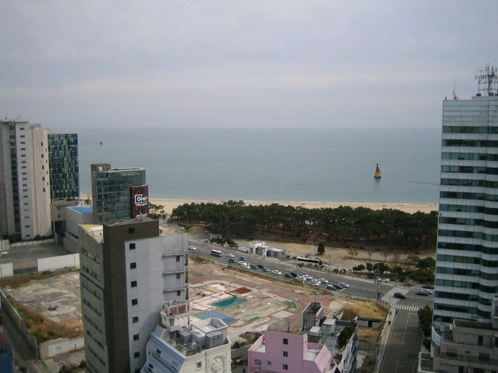 캐논 익시50(익서스40) 디지털카메라 이미지