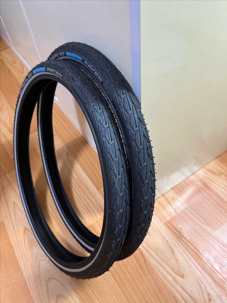 브롬톤 슈발베 레이서 타이어 2개 팝니다 이미지