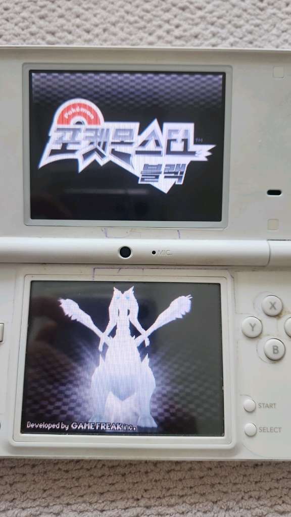 닌텐도 DS 포켓몬스터 블랙 알칩 이미지