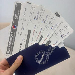 제주도 항공권 팝니다 이미지