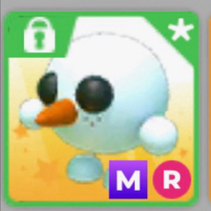 입양하세요 메타스노볼 이미지