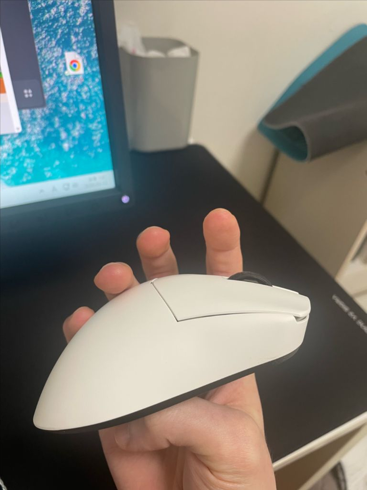 람주 파로 오로라 이미지