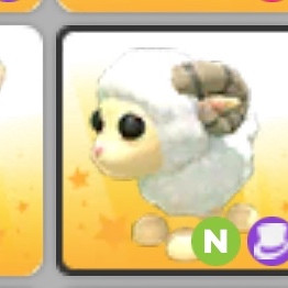 입양하세요 네온 숫양 이미지