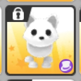 입양하세요 북극여우 이미지