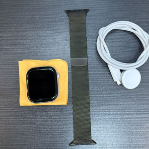 애플워치10 46MM GPS 실버 알루미늄 + 밀레니즈루프 판매 이미지