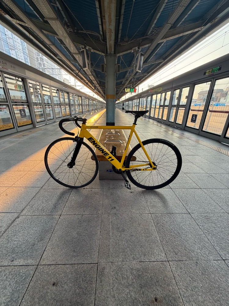 엔진11 판/대 이미지