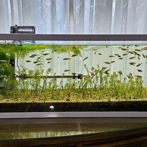 보고있으면 힐링되는 어항 세트 이미지