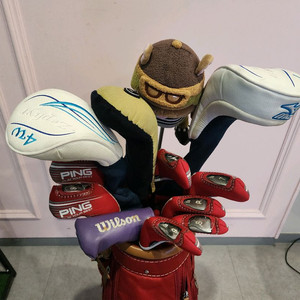 여성용 골프채 풀세트 초보자용 이미지