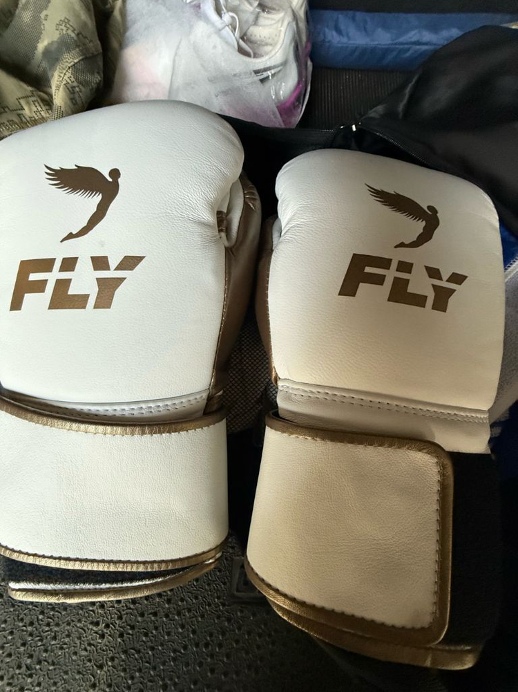 복싱글러브 14온스 플라이프리미엄 이미지