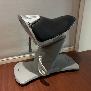 파나소닉 승마 운동기구 JOBA EU7805 이미지