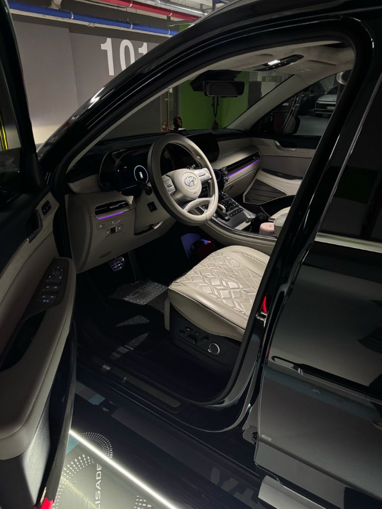 더 뉴 팰리세이드 가솔린 캘리그라피 AWD 이미지