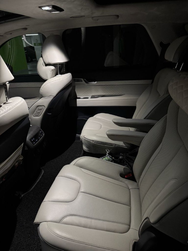 더 뉴 팰리세이드 가솔린 캘리그라피 AWD 이미지