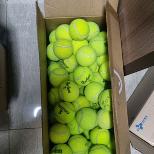 테니스공 연습구 100개(택포 4만) 이미지