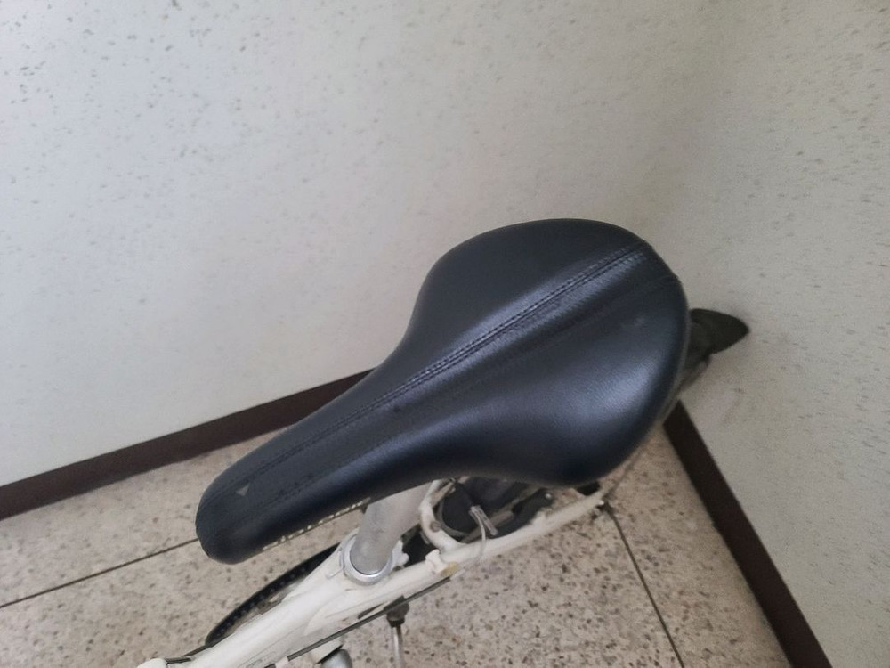 다혼 뮤 8단 접이식 미니벨로 20인치 자전거 이미지