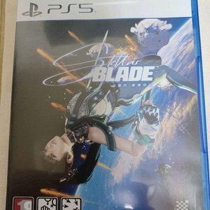 PS5스텔라 블레이드 이미지