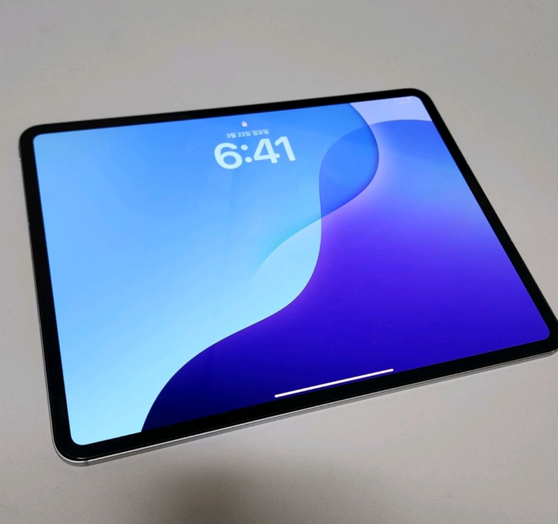 아이패드 프로 13인치 m4 셀룰러 이미지