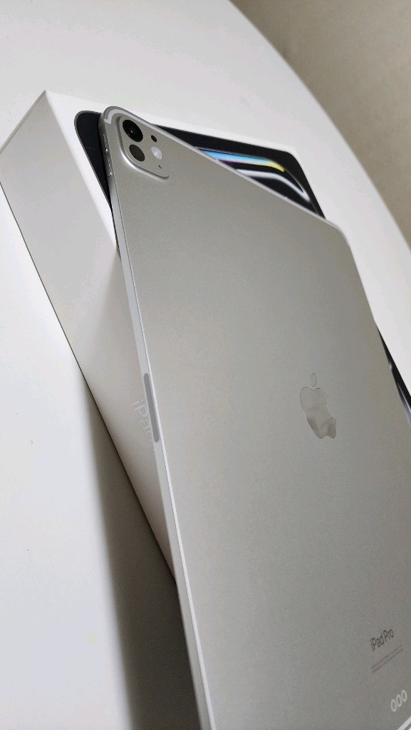 아이패드 프로 13인치 m4 셀룰러 이미지