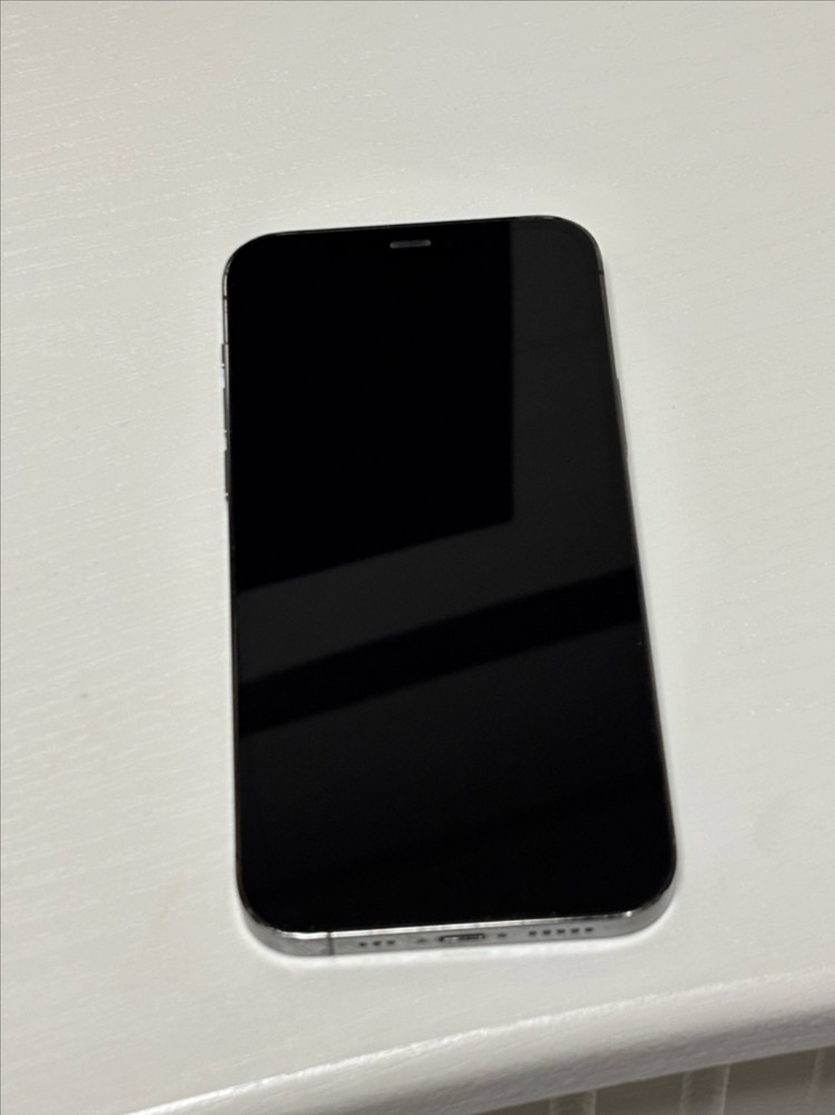 아이폰12프로 256GB 이미지