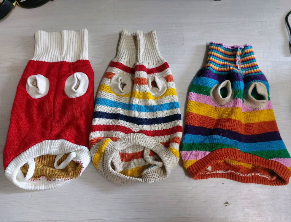 강아지 옷, 하네스, 목줄 등 잡다 세트 이미지