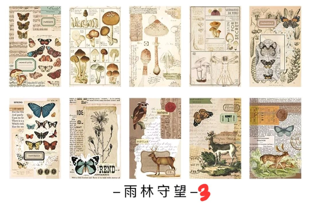 (처분) 다꾸 빈티지 페이퍼 트레이싱지 이미지