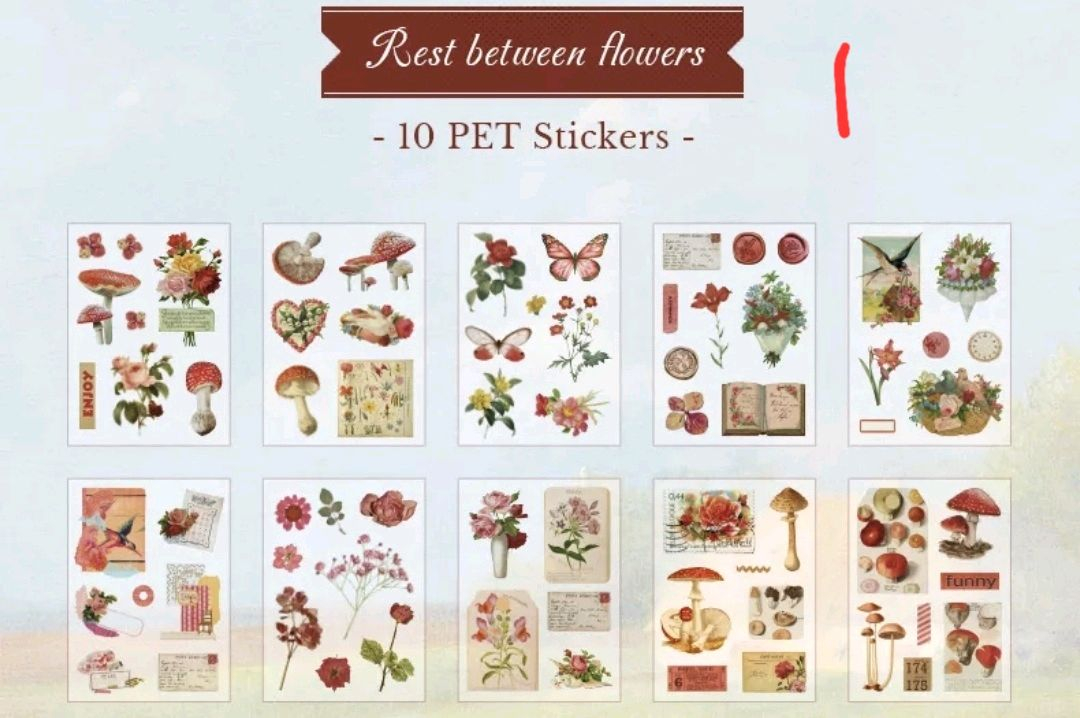 (처분) 다꾸 빈티지 레트로 pet 스티커 이미지