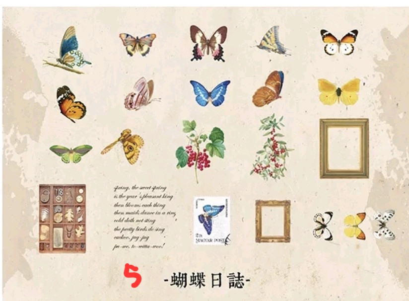 (처분) 다꾸 빈티지 pet 식물꽃스티커 4종 이미지