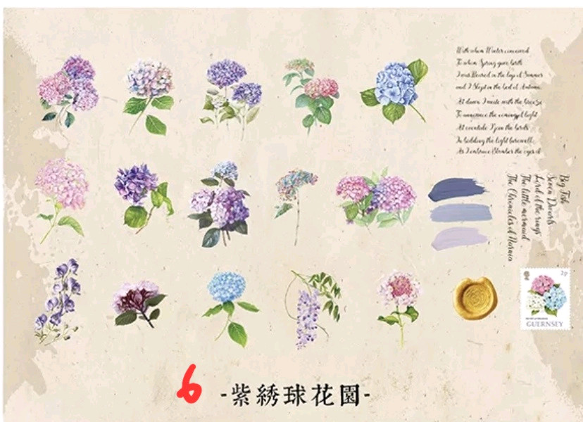 (처분) 다꾸 빈티지 pet 식물꽃스티커 4종 이미지