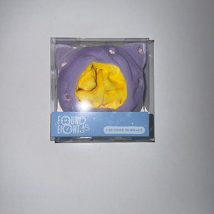 아이유 아이크 응원봉 커버 이미지