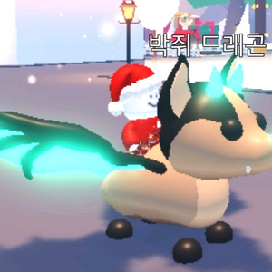 입양하세요 박드 삽니다! 이미지