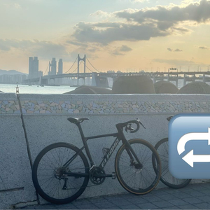 (개급처!!)가격어그로x엘파마 로드너 24년식 디브 로드 판매/대차 (엔진,콘탄,위아위스,언노운,픽시 이미지