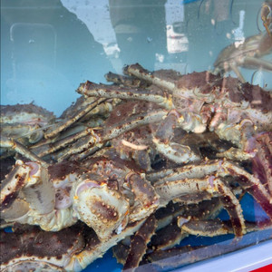 애플 비전프로 삽니다 이미지