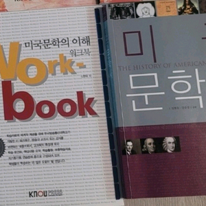 방통대 미국문학사 (영문과교재) (일반택배)