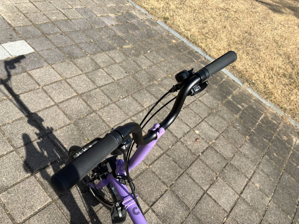 브롬톤 c라인 h6r 이미지