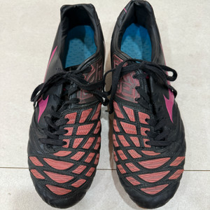 미즈노 이그니터스 275mm HG