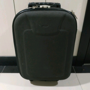 아놀드바시니 캐리어 이미지