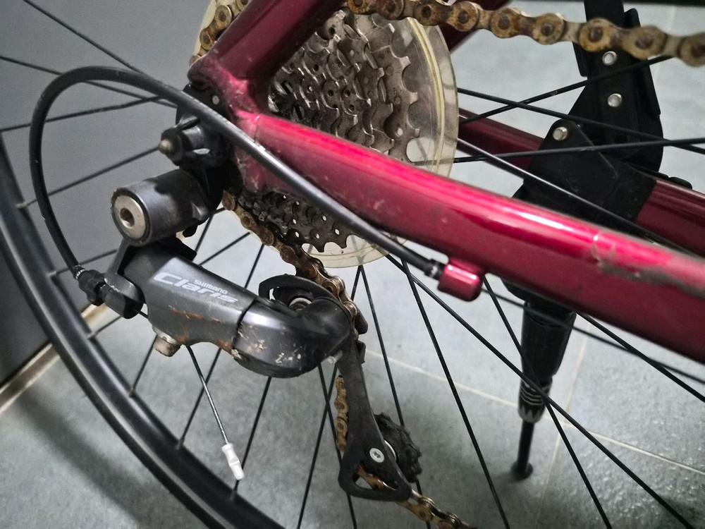 24년식 첼로 스칼라티 A1 사이즈 m 490 사이즈 판매 이미지